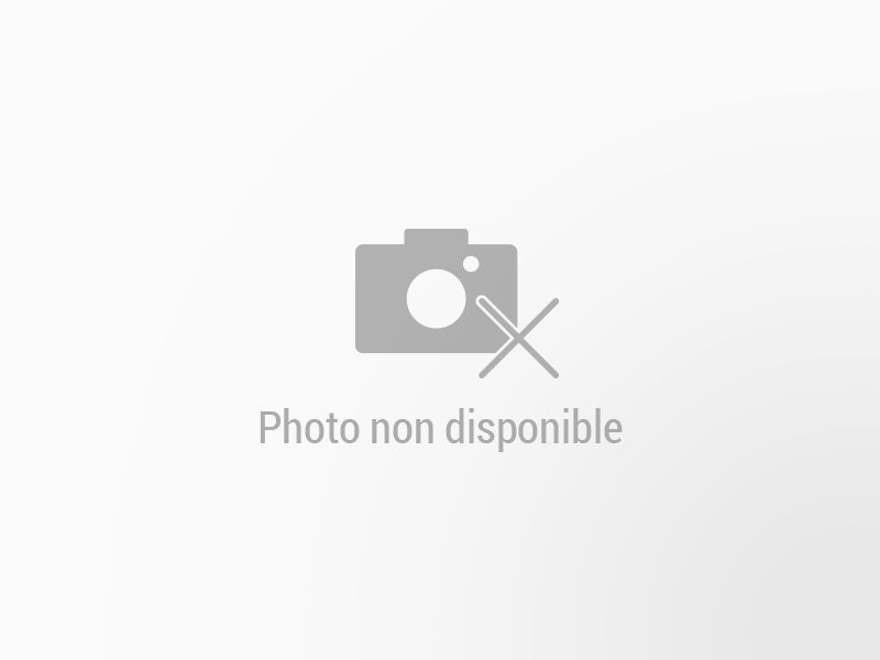 RENAULT Arkana d’occasion à vendre à PROVINS